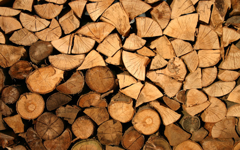 nhập khẩu gỗ từ campuchia