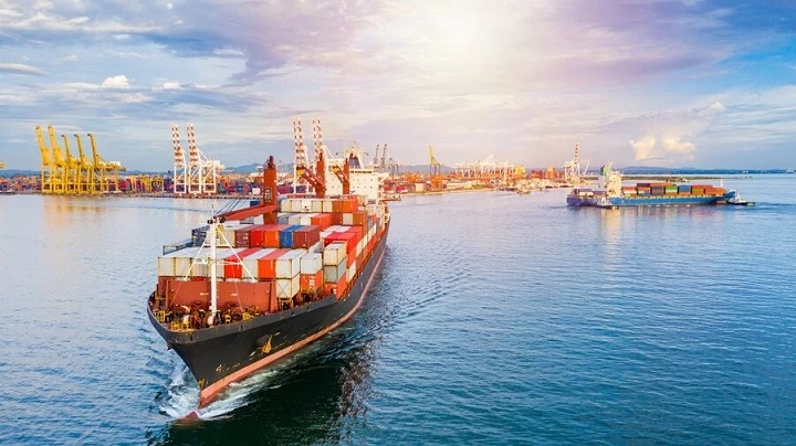 Dịch vụ vận chuyển hàng hóa đi Hà Lan bằng đường biển chuyên nghiệp