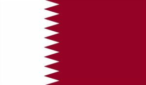 Tổng quan về tuyến vận chuyển Việt Nam - Qatar