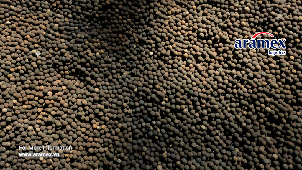 Vận Chuyển Quốc Tế Aramex Việt Nam