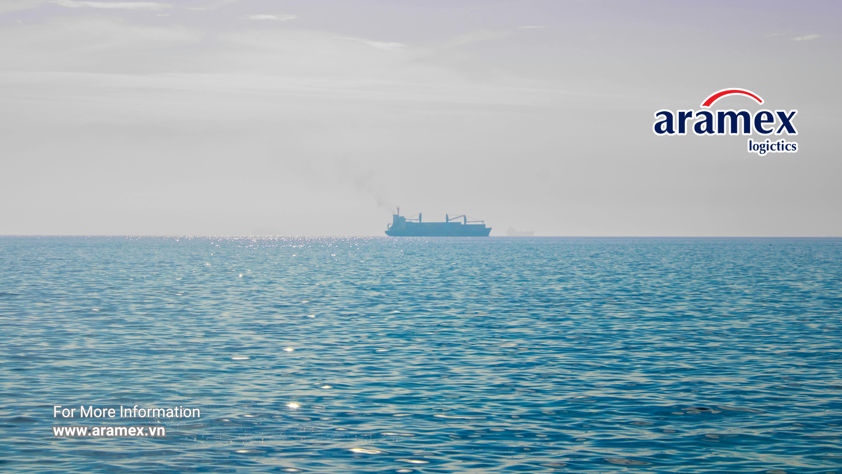 Sự khác nhau giữa Express – Economy – Cargo – Freight