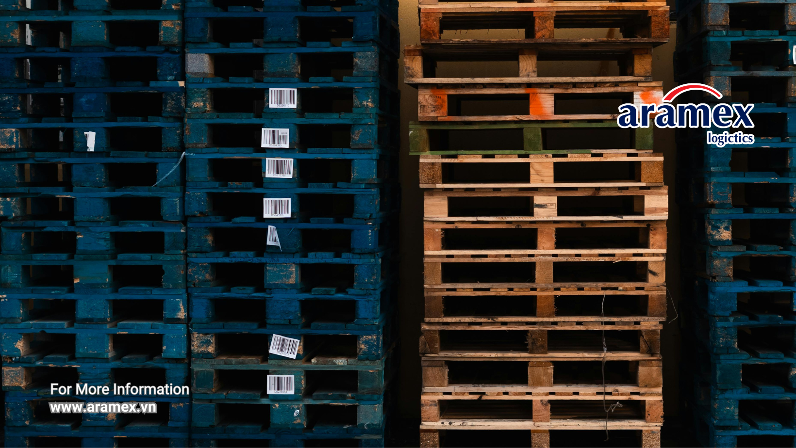 Khi Nào Cần Đóng Kiện Gỗ Và Hun Trùng (Fumigation) Trong Vận Chuyển Quốc Tế? Khi Nào Cần Đóng Kiện Gỗ Và Hun Trùng (Fumigation) Trong Vận Chuyển Quốc Tế?