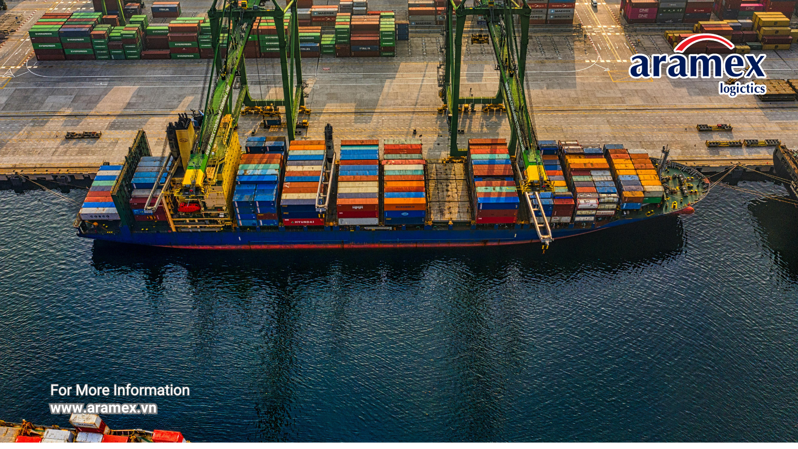 Khai Sai Mã HS - Hậu Quả Và Cách Khắc Phục Nhanh Trong Xuất Nhập Khẩu