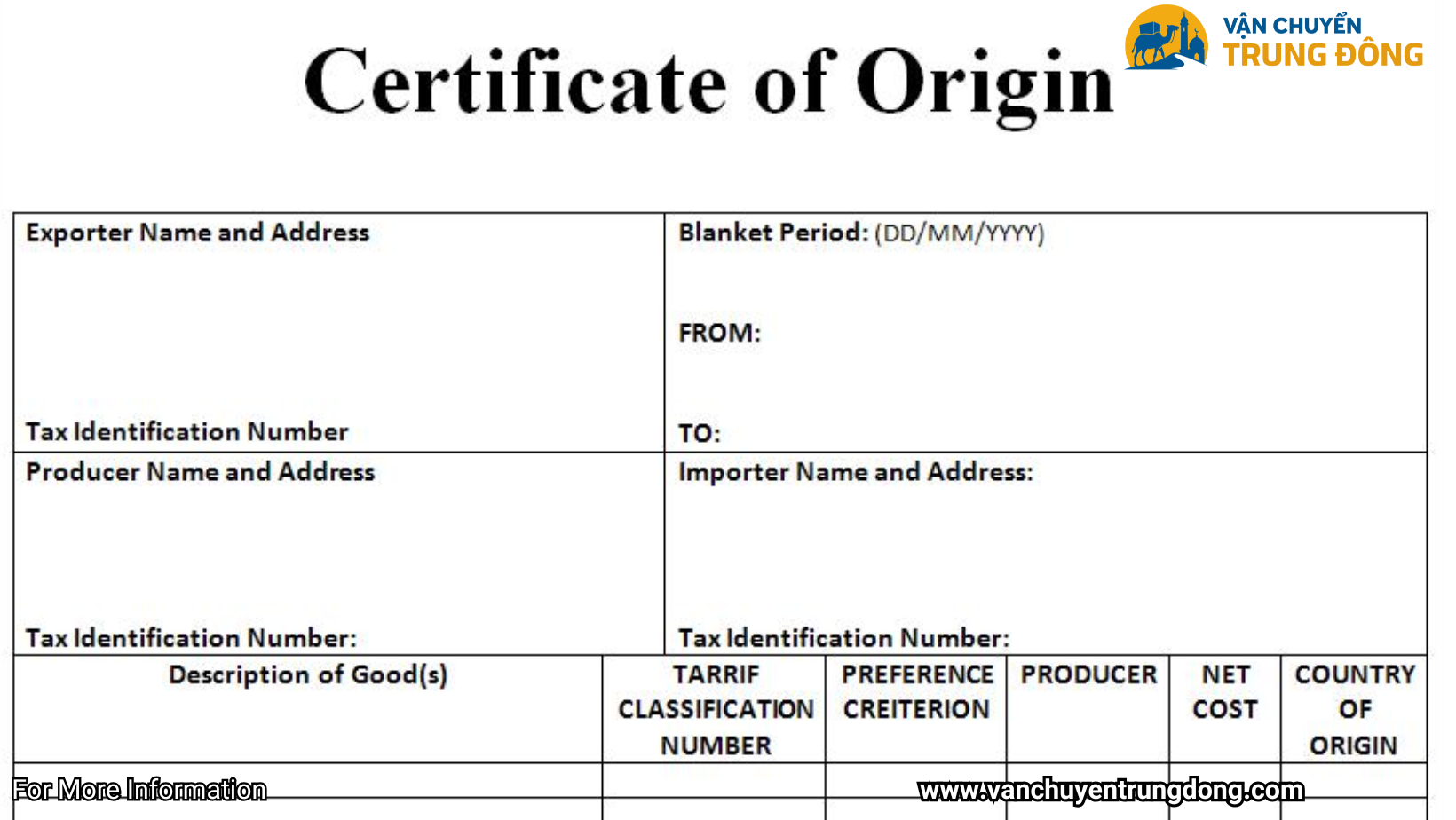 Khi Nào Cần CO? Trường Hợp Bắt Buộc Và Lưu Ý